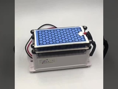 Manufacturer CE certification new ozone generator 10g double ceramic plate long life ozone parts