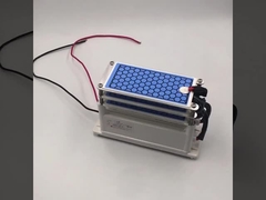 AC 220V 15g/hr Ceramic Ozone Plate For Ozone Disinfection Machine